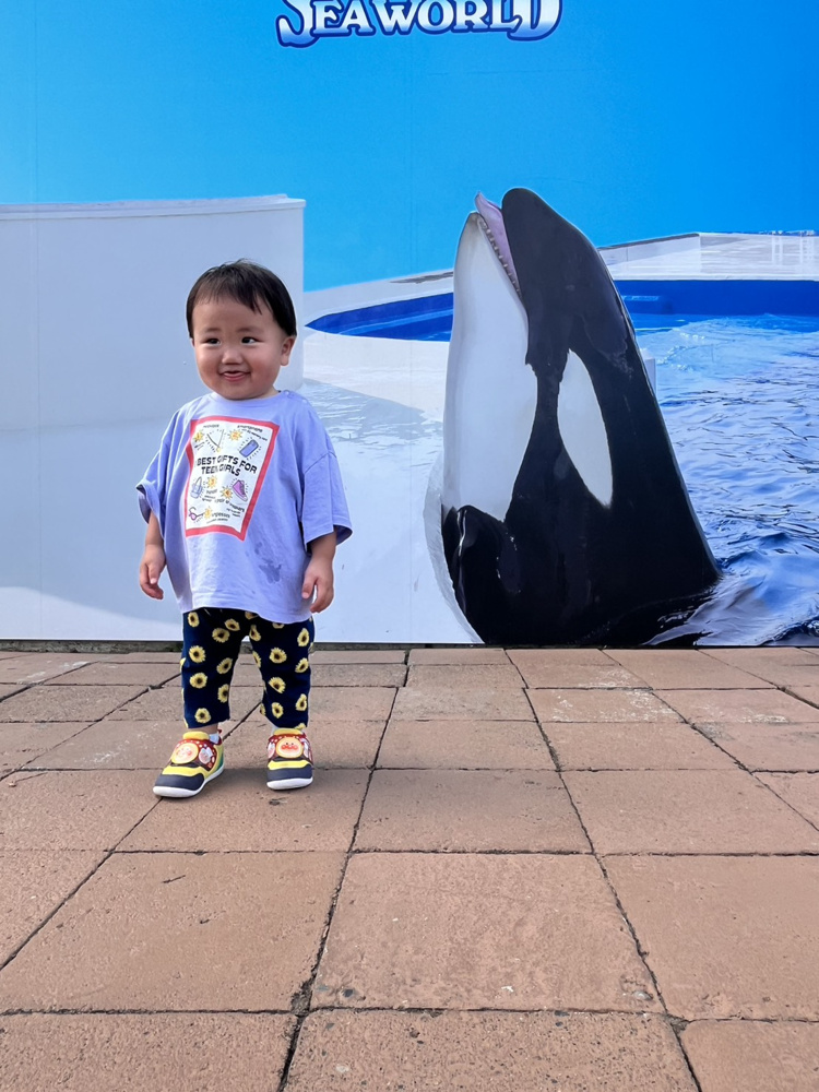 鴨川シーワールド行ってきました！の画像