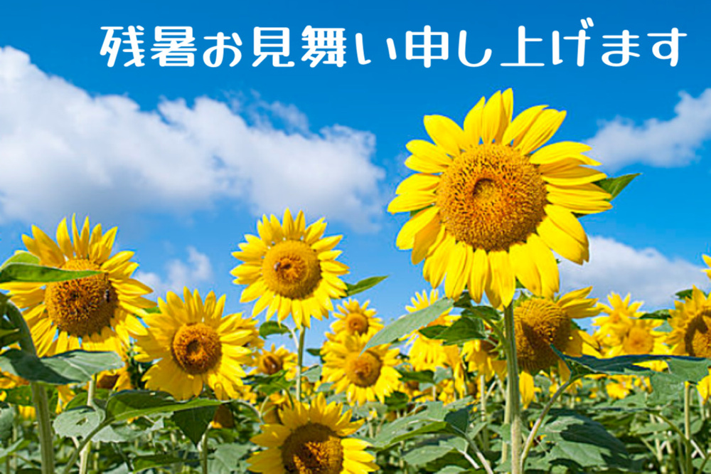 残暑お見舞い申し上げますの画像