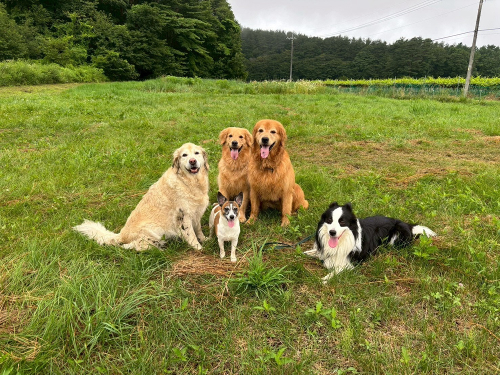サマースクールの画像