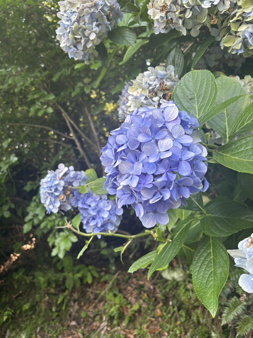 箱根でのんびり☆の画像