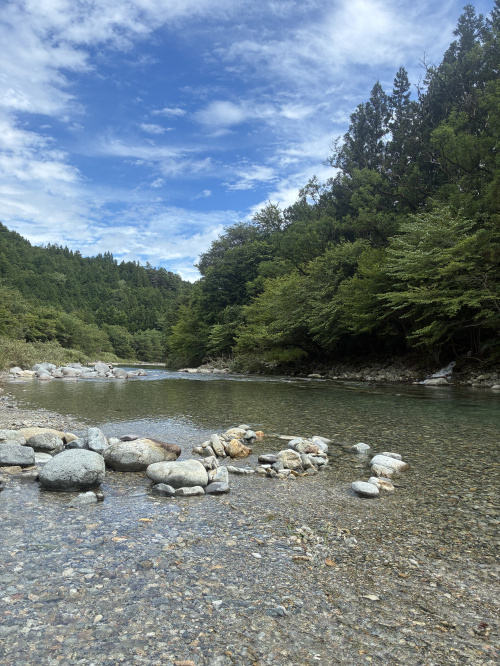 夏の画像