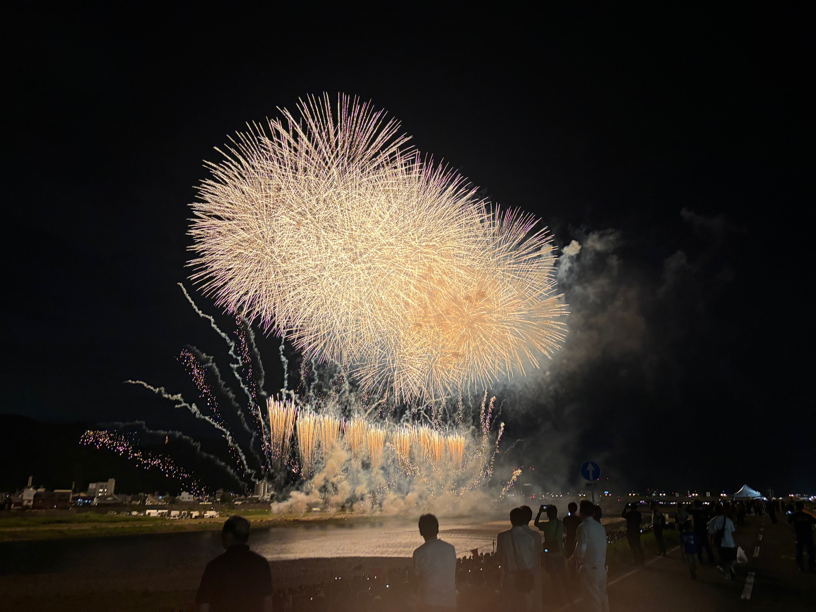 夏の星座にぶら下がっての画像