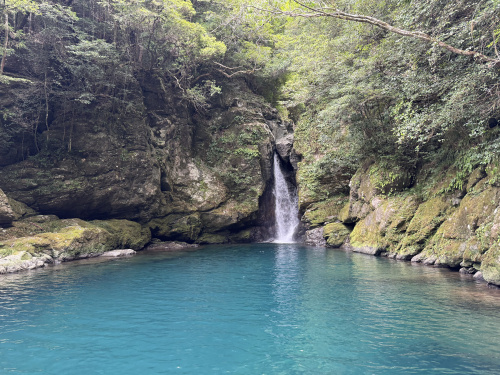 【高知県観光】大瀧の滝へ行ってきました｜大自然に癒やされるおすすめスポットの画像