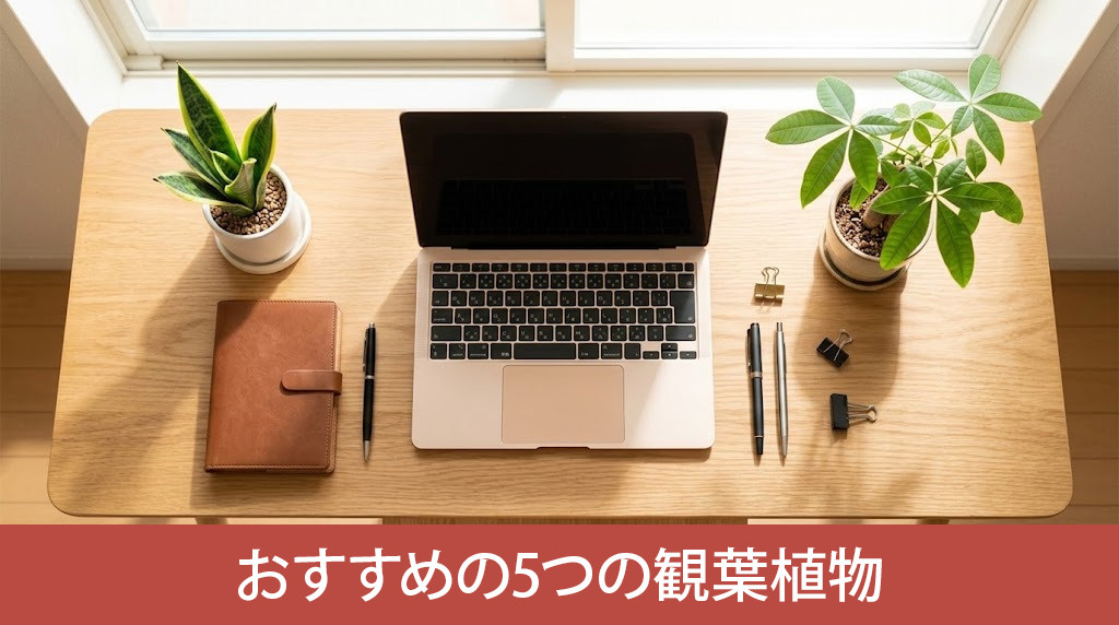  各運気を高めるおすすめの5つの観葉植物