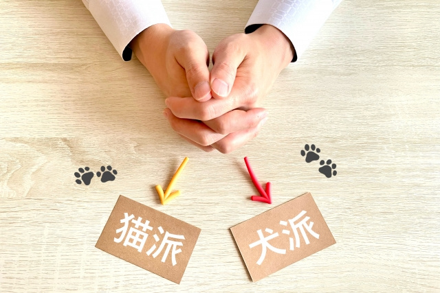 岡崎市でファミリー向けペット可賃貸を探すなら？犬猫OK物件の見極め方の画像