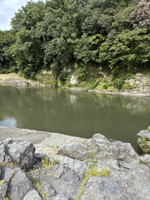 ～夏の長瀞～の画像
