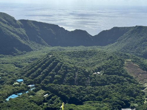 青ヶ島のねこの画像