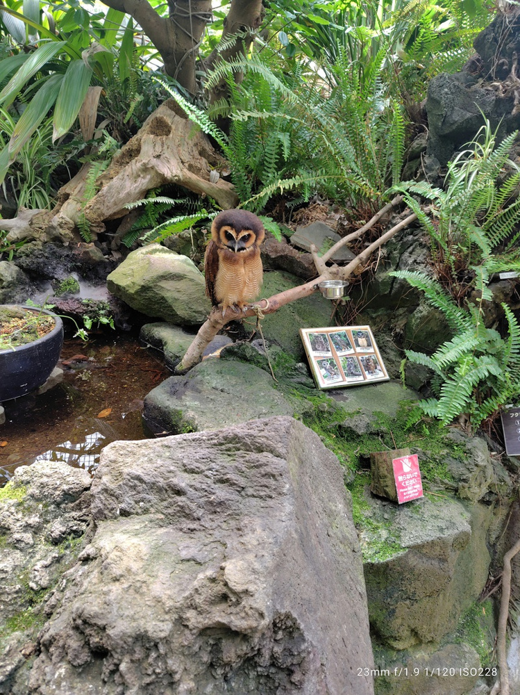 よろしくお願いいたします。の画像