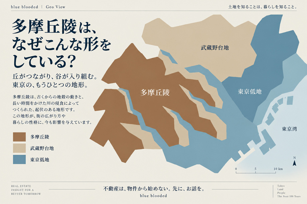 多摩丘陵／硬い丘と、注意すべき谷。の画像