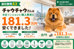 【節約事例43】チャウチャウさんは中古マンションの購入費用を181.2万円安くできました！の画像