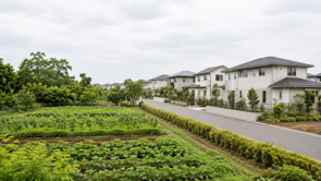 生産緑地は資産価値が上がる?区画整理のメリットや注意点についても解説の画像