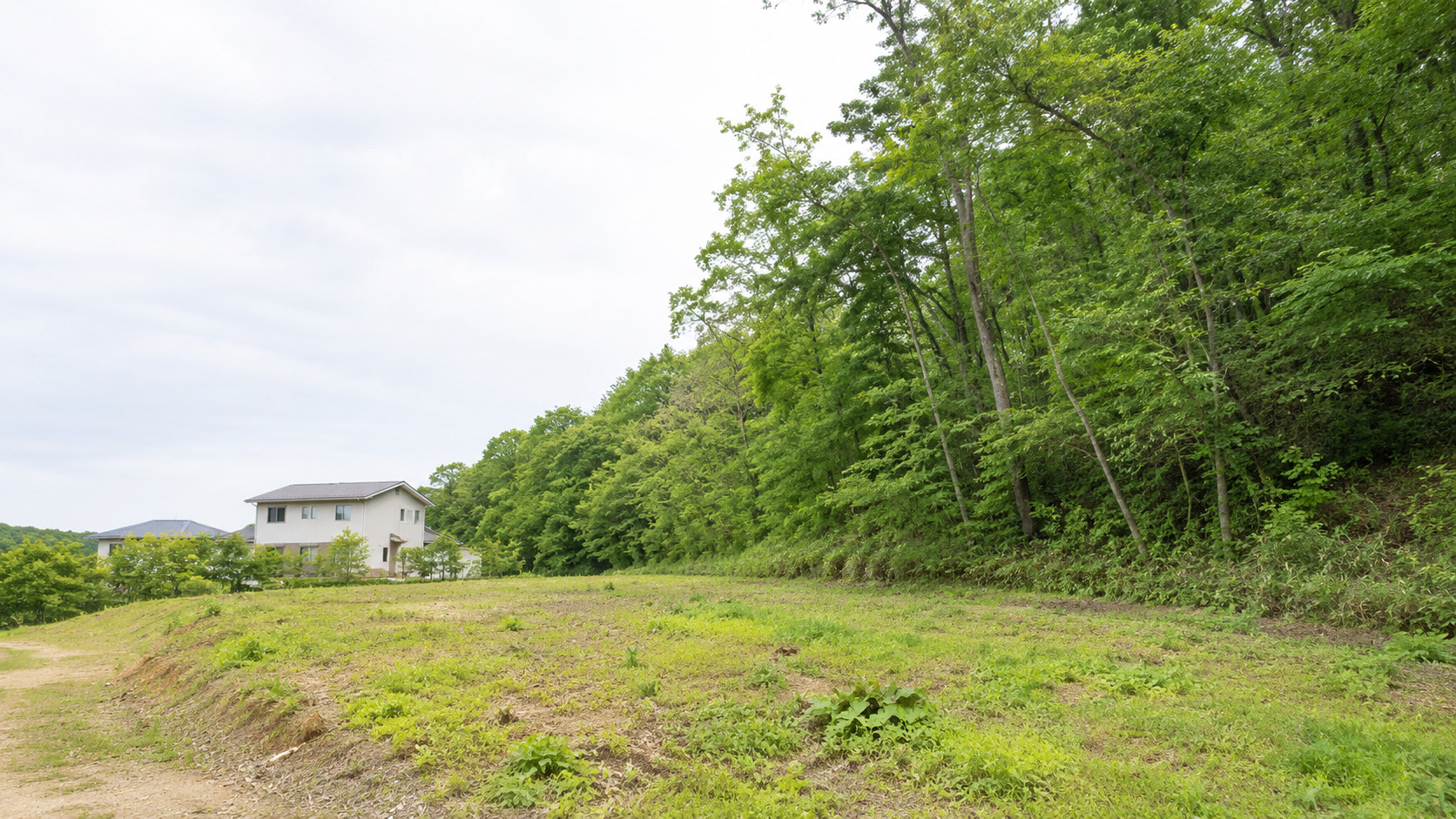 地目が山林の土地に家を建てるデメリットは？メリットや変更登記も解説の画像