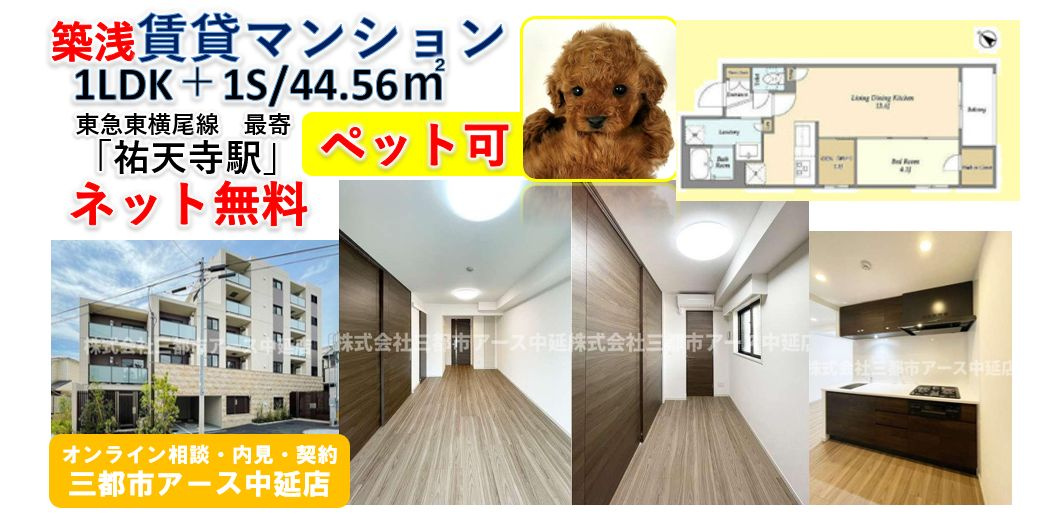【ペット可×ネット無料】築浅賃貸マンション1LDK＋1S｜東横線沿線の画像