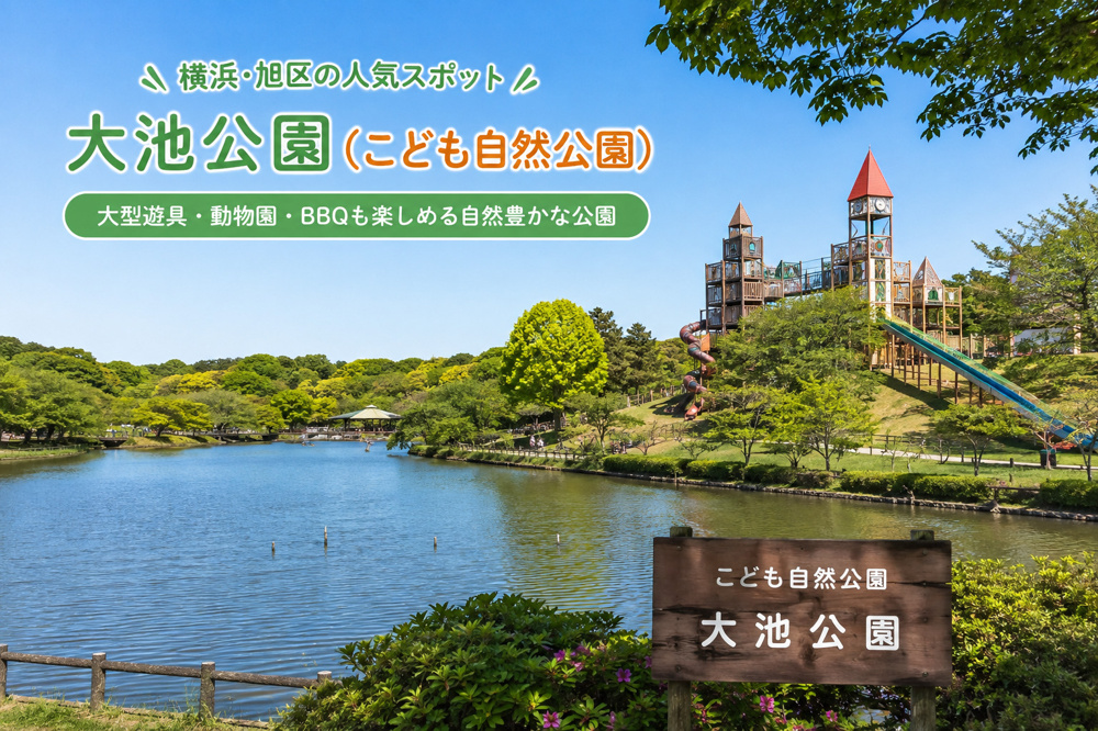 横浜・旭区の「大池公園（こども自然公園）」｜大型遊具・動物園・BBQも楽しめる自然豊かな公園の画像