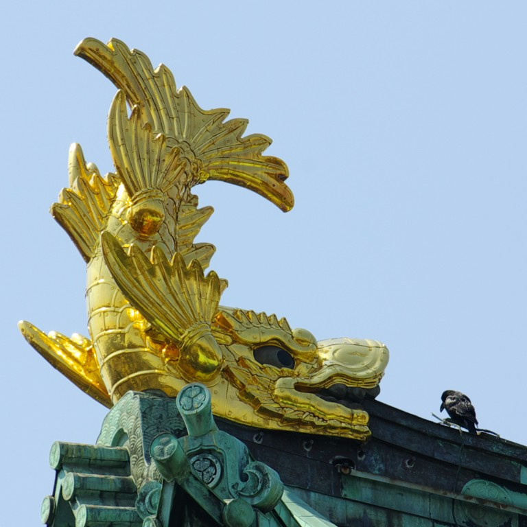 2026年8月22日(土曜)オープン中!(現地集合ご案内可能です!)の画像