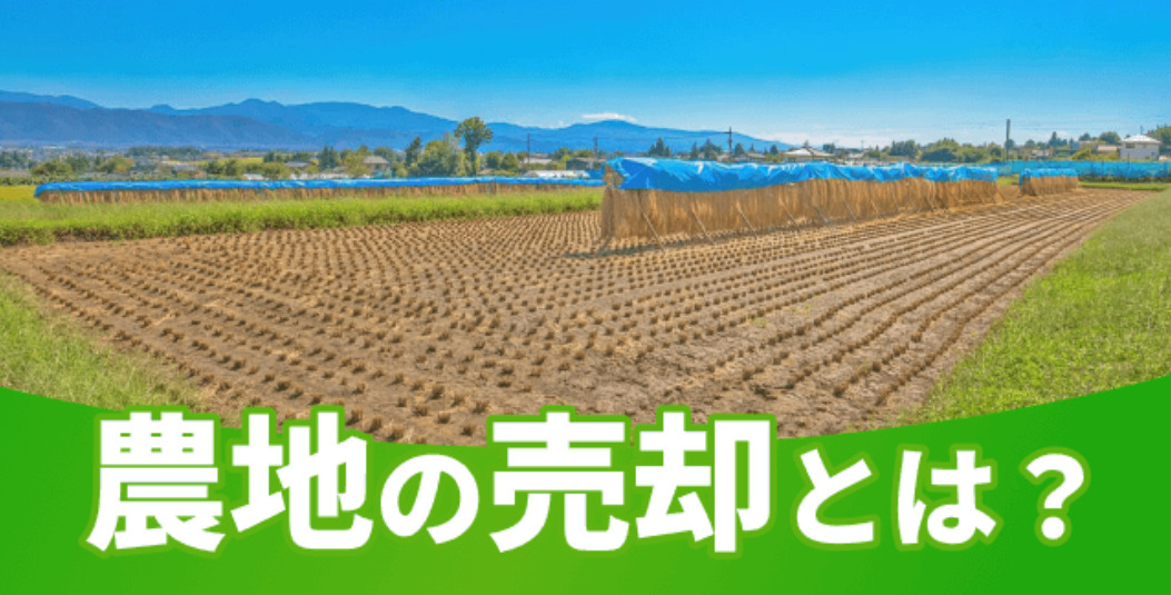 農地は売れる?|農地売却の方法・農地転用・注意点をわかりやすく解説【松本市・長野県】の画像