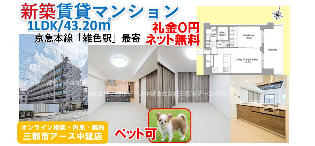 【ペット可×ネット無料】新築賃貸マンション1LDK・最上階｜カップル物件の画像