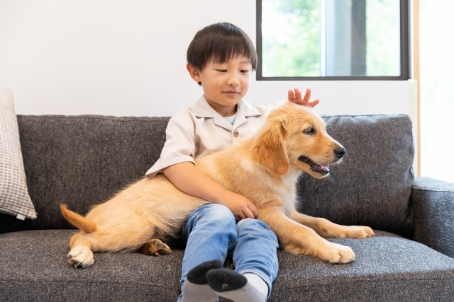 ペット可×学区で選ぶ岡崎市賃貸｜家族も愛犬も暮らしやすい物件探しの画像