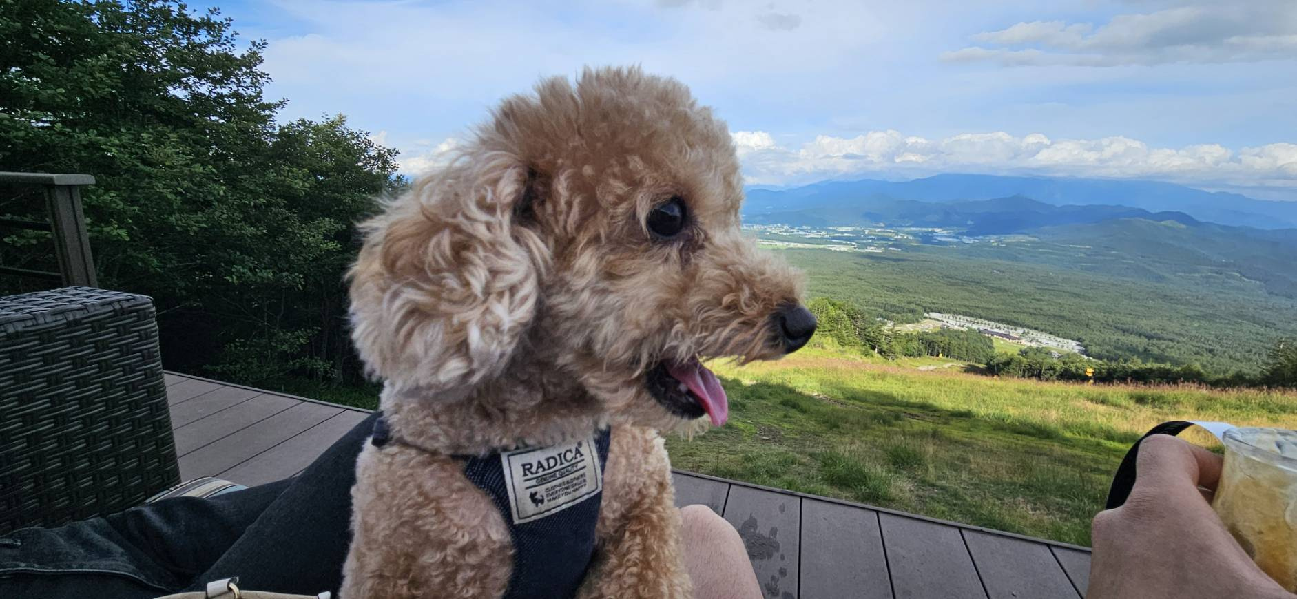 【愛犬と行く清里旅行 パート1】の画像