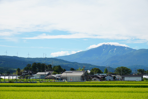 帰省の画像