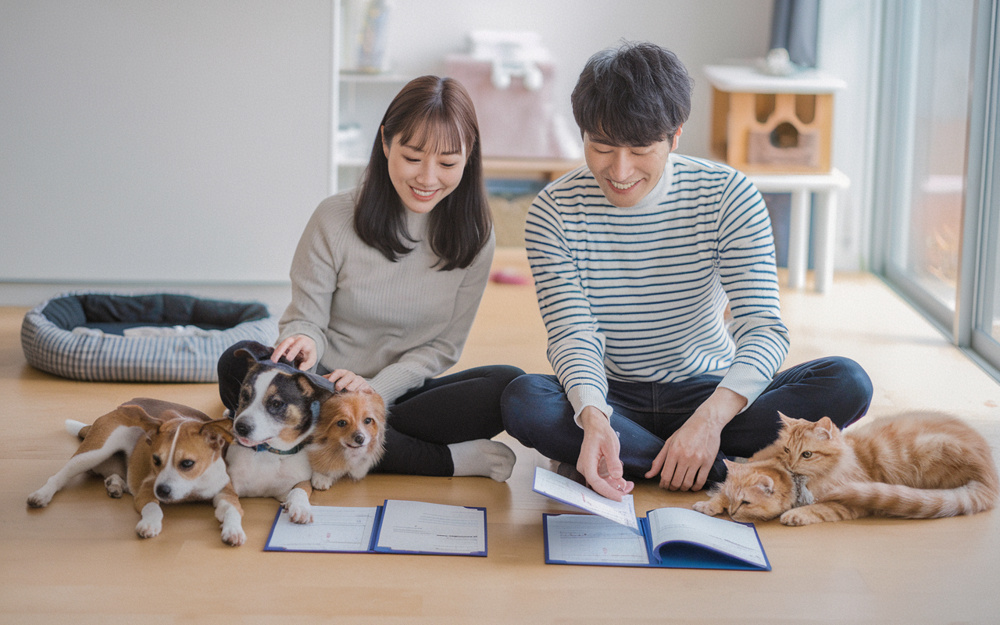 見附市で多頭飼い相談可の賃貸物件はある？ペット別に選び方と確認ポイントを解説の画像