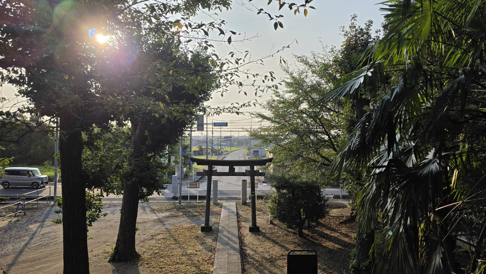 朝の神社で心を整えるの画像