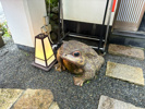 目標達成のお祝い会の画像