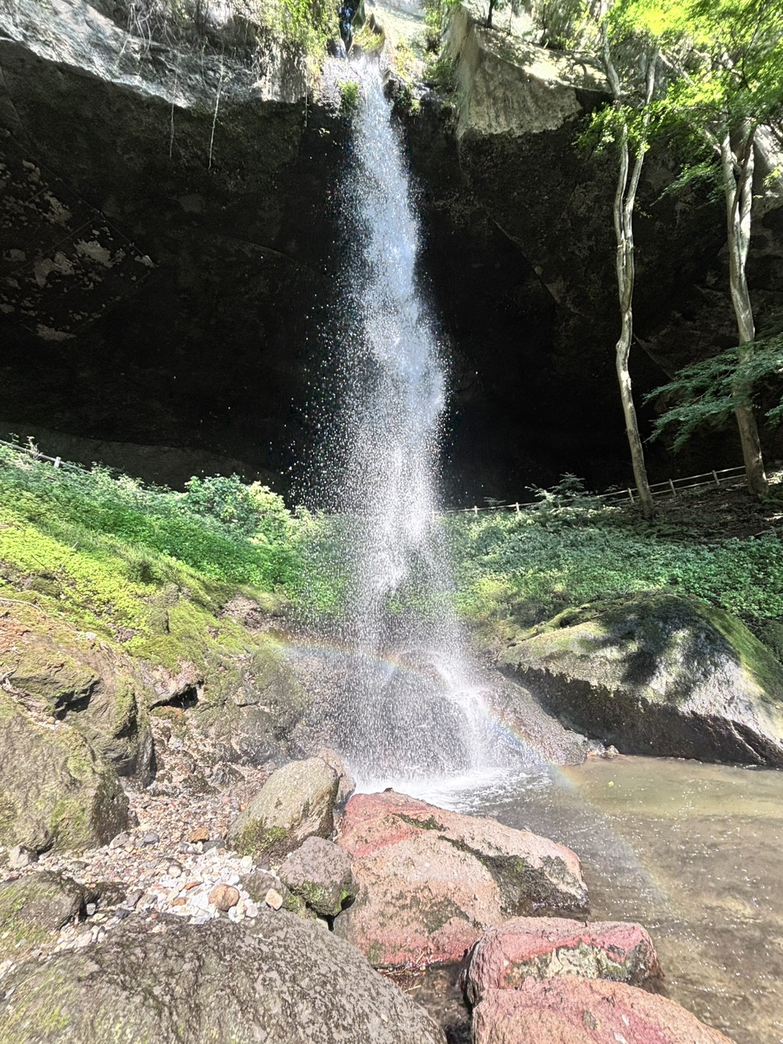 棚下不動の滝へ行ってきましたの画像