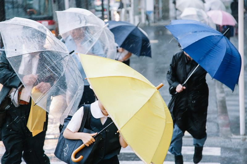 台風に備えてできるポイント・事前の台風対策をご紹介しますの画像