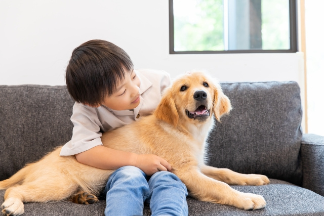 岡崎市で犬猫と暮らす賃貸探し｜東岡崎駅・岡崎駅の人気条件まとめの画像