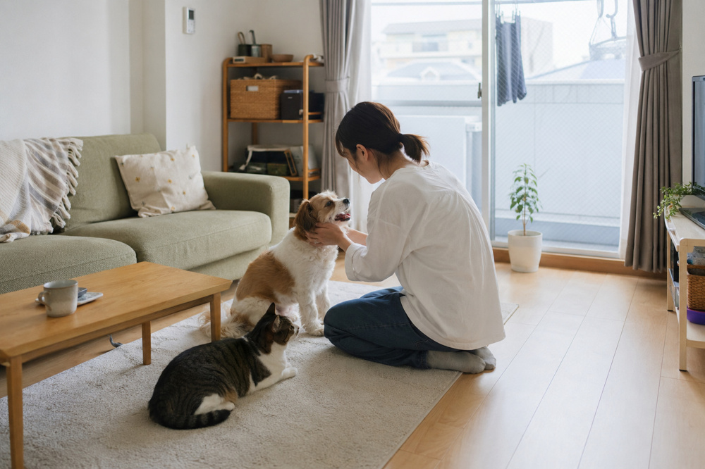 埼玉で生活保護受給中でもペット可賃貸を借りられる？費用と審査を解説の画像
