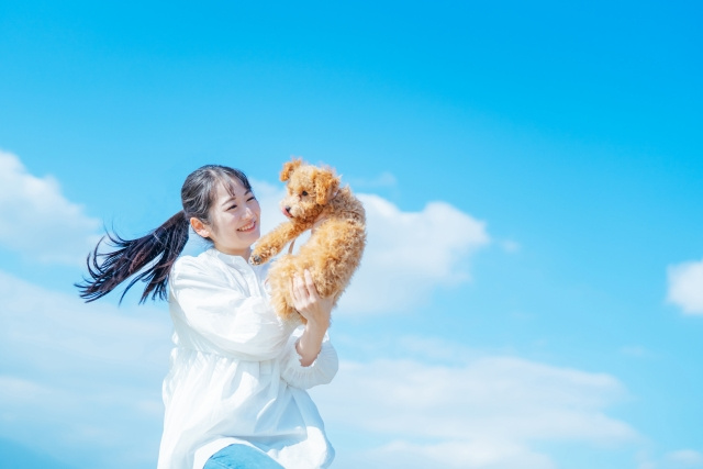 ペット可でも妥協しない!岡崎市で見つける快適賃貸の探し方の画像