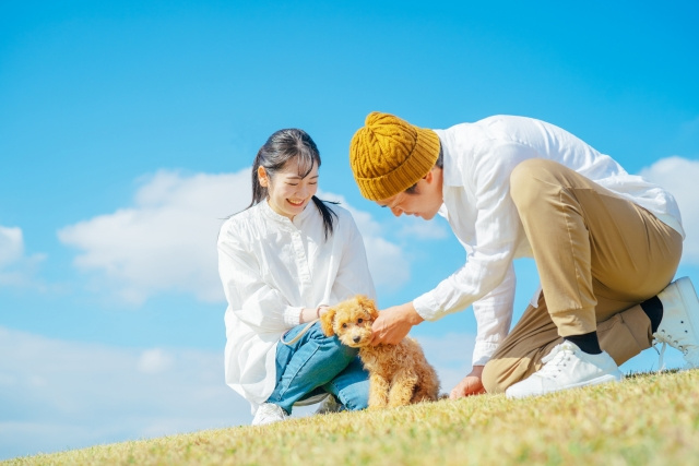 初期費用を抑えたい人必見!岡崎市のペット可賃貸×一人暮らし攻略法の画像
