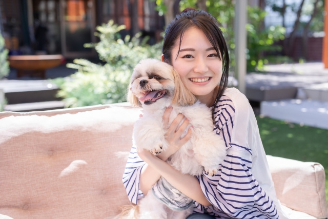 東岡崎駅・岡崎駅で探すペット可賃貸｜犬猫と暮らす家賃相場と注意点の画像