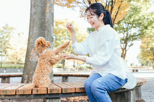 岡崎市のペット可賃貸で失敗しない！一人暮らし・家族向け条件チェックの画像