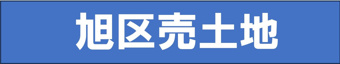 本日の新着情報!!の画像