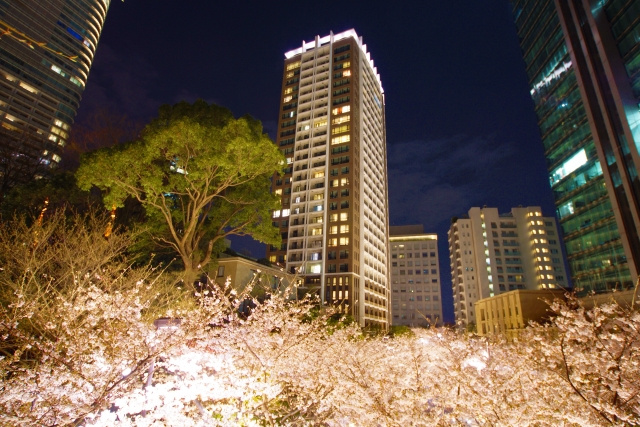 中古分譲マンションを賃貸で借りるメリット・デメリット|岡崎市版の画像