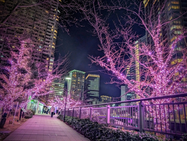 分譲賃貸マンションの賃貸管理｜大家が抱える業務と委託判断の画像