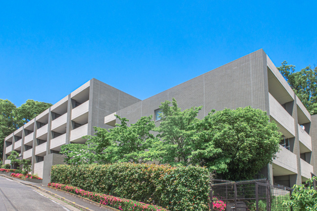 分譲賃貸でペット・駐車場は借りられる？入居前の必須確認リストの画像