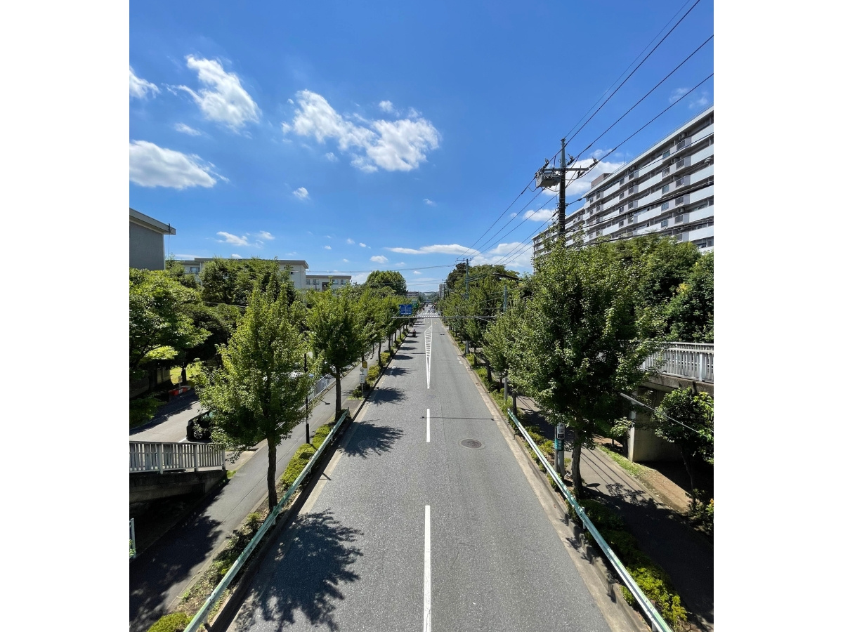 白糸台通り