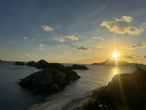猫 島 日本 観光の魅力はどこにある？猫と島時間を楽しむ国内スポット紹介の画像