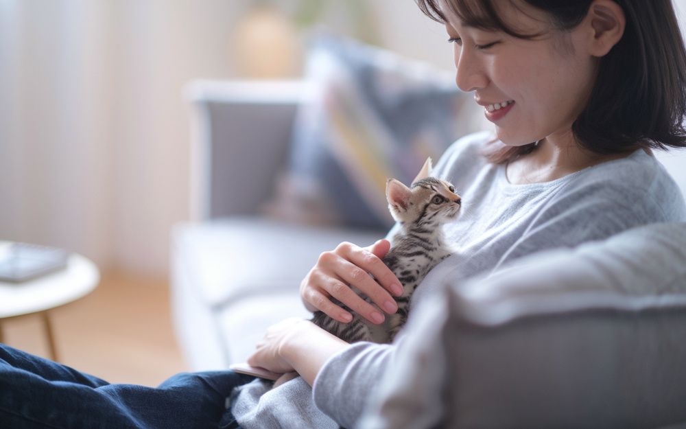 子猫の名前どう決める？人気ランキングから見る選び方と注意点の画像