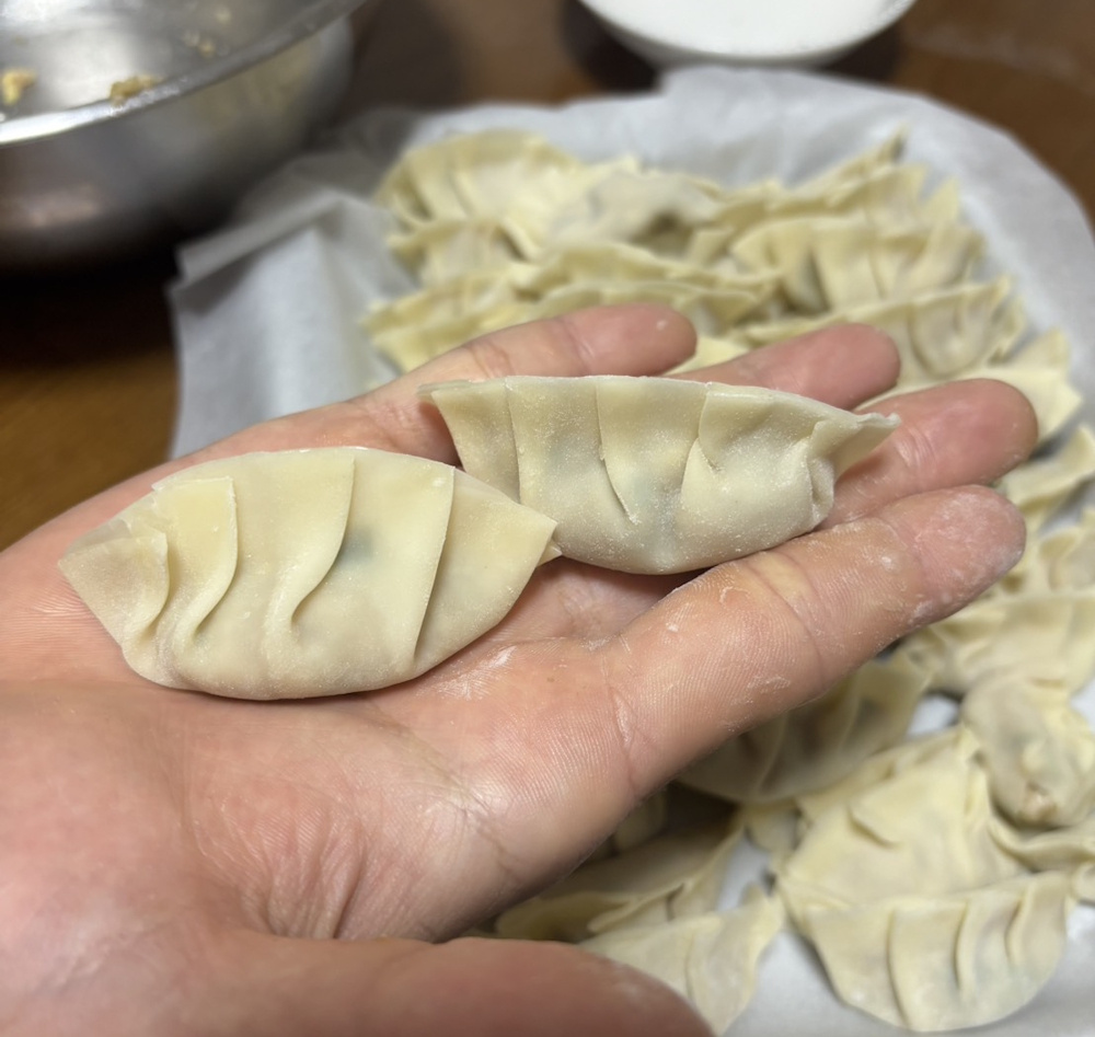 手作りの餃子