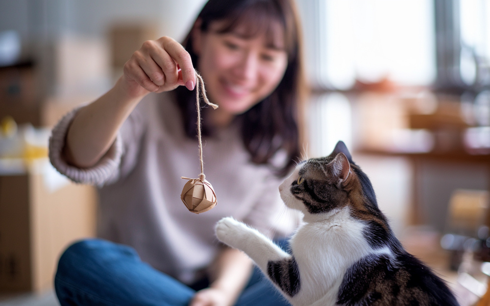猫が夢中になる遊び道具とは？手作りで安全に楽しむ工夫を紹介の画像