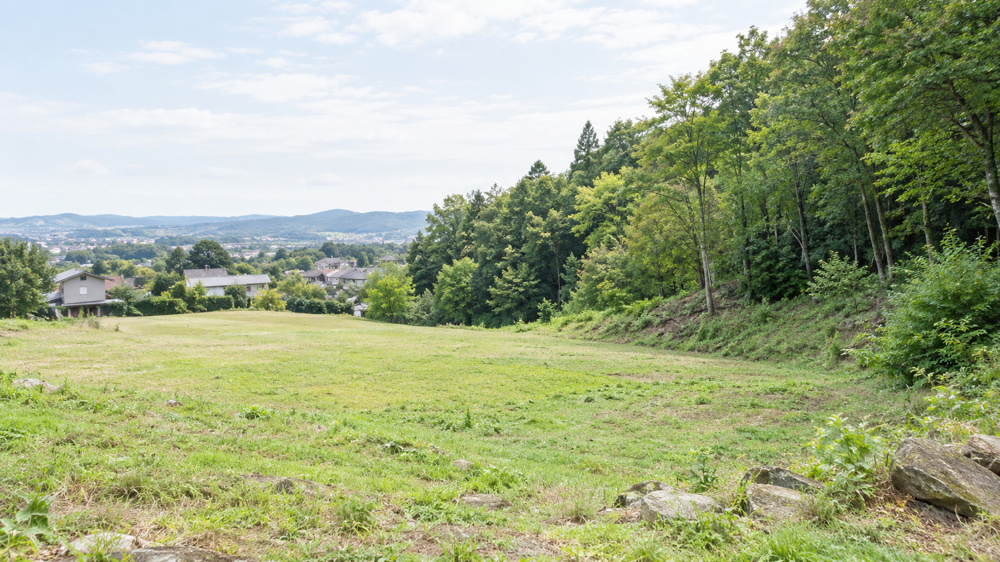 地目が山林の土地のデメリットとは？住宅建築の注意点についても解説の画像