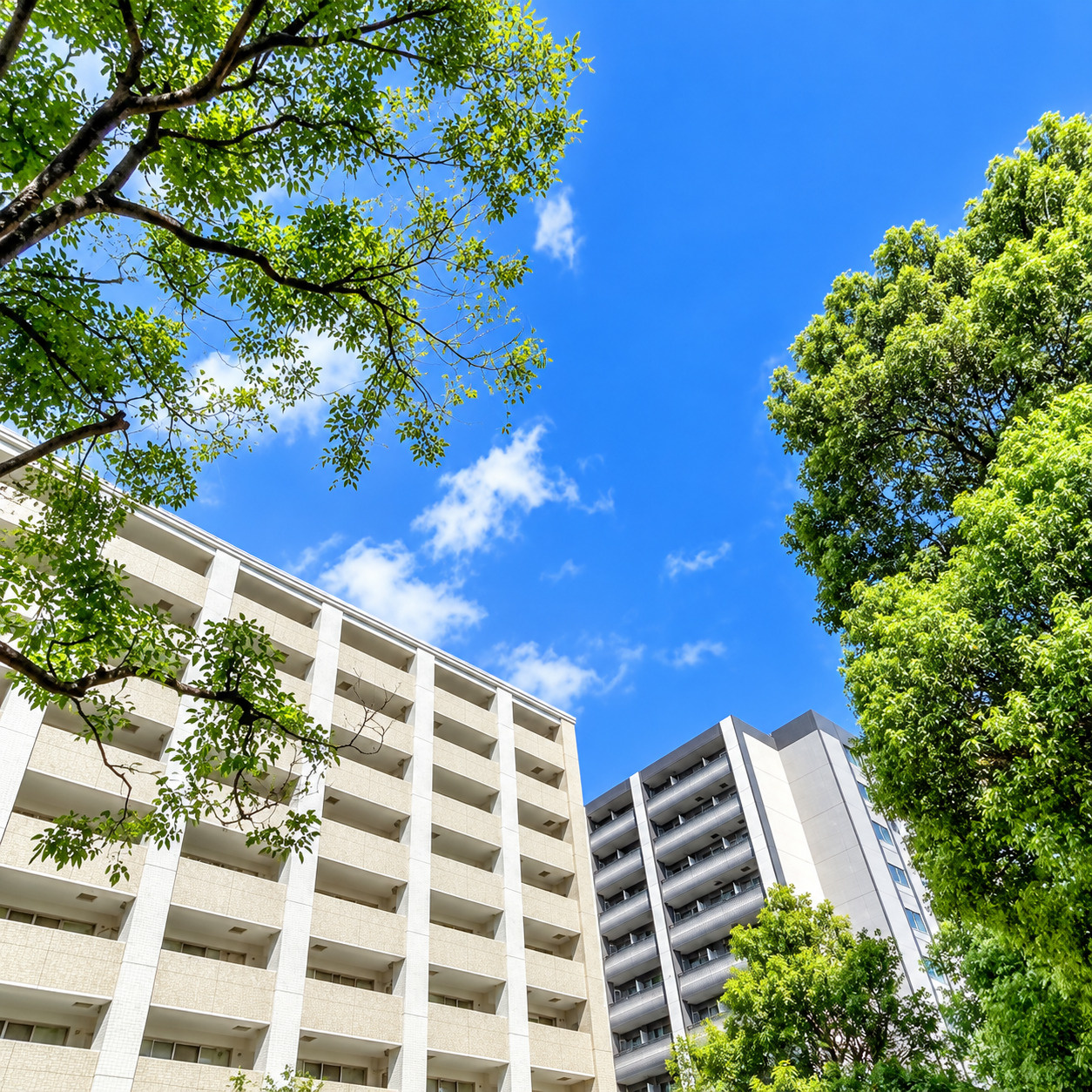 最終回　中古マンションは築何年まで買って大丈夫？本当に見るべきポイント！の画像