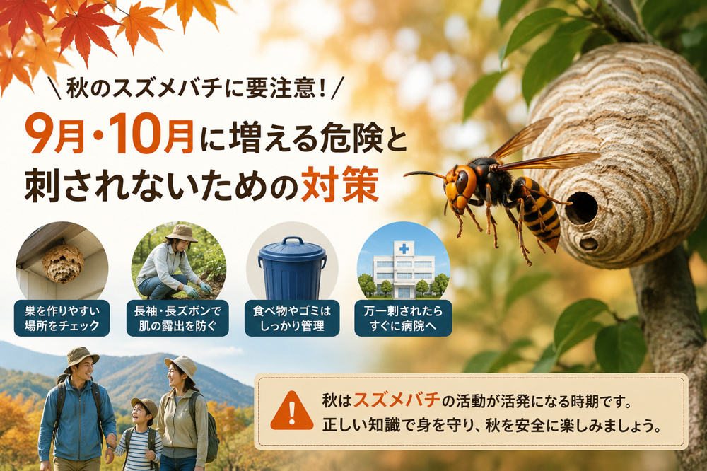 秋のスズメバチに要注意！9月・10月に増える危険と刺されないための対策の画像