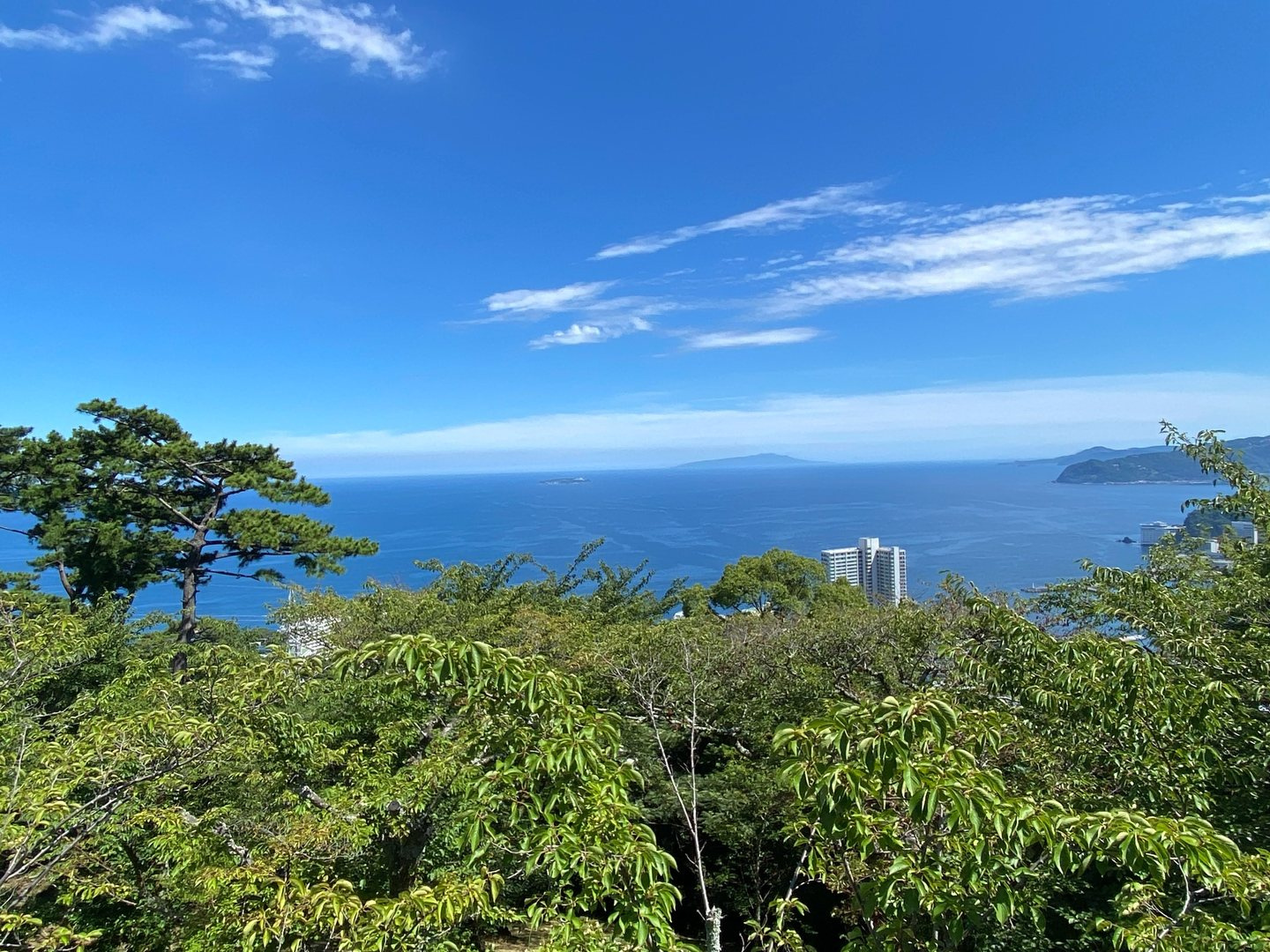 MOA美術館から望む青い相模灘と、手前に広がる緑