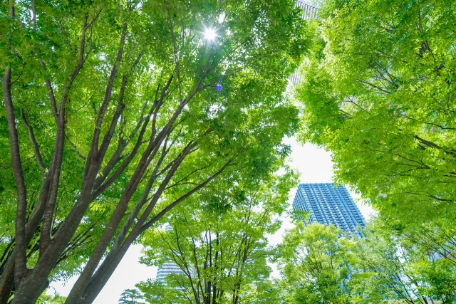 中古マンションの新築時価格表を調べる方法｜比較の注意点の画像
