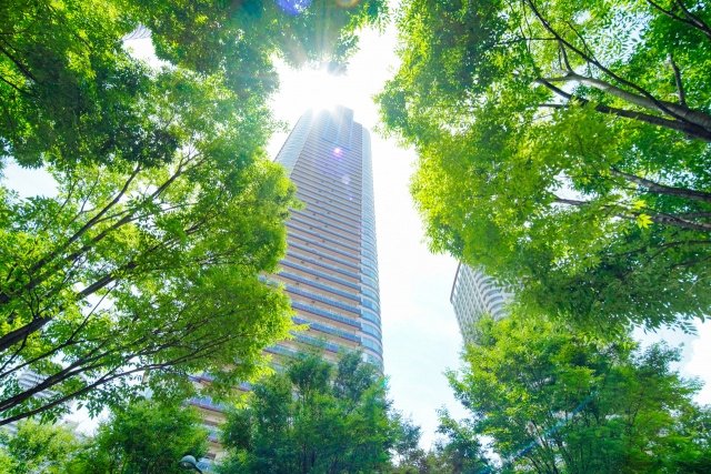 売出し前の物件も探せる？マンション情報DBの賢い使い方の画像